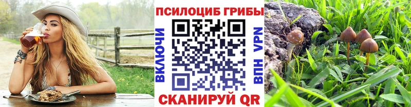 Псилоцибиновые грибы Psilocybe  купить наркотики сайты  Морозовск 