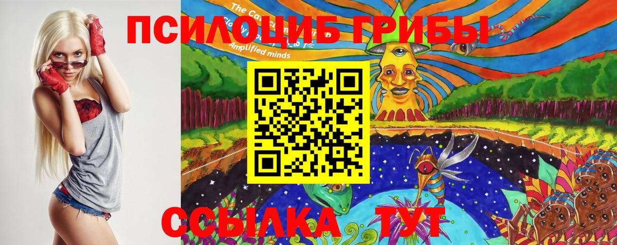 Псилоцибиновые грибы мицелий  Вход с VPN  Морозовск 