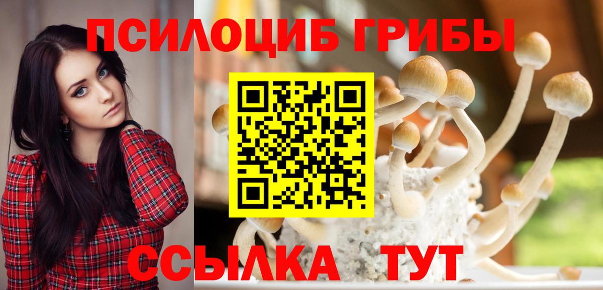 Галлюциногенные грибы Cubensis Морозовск